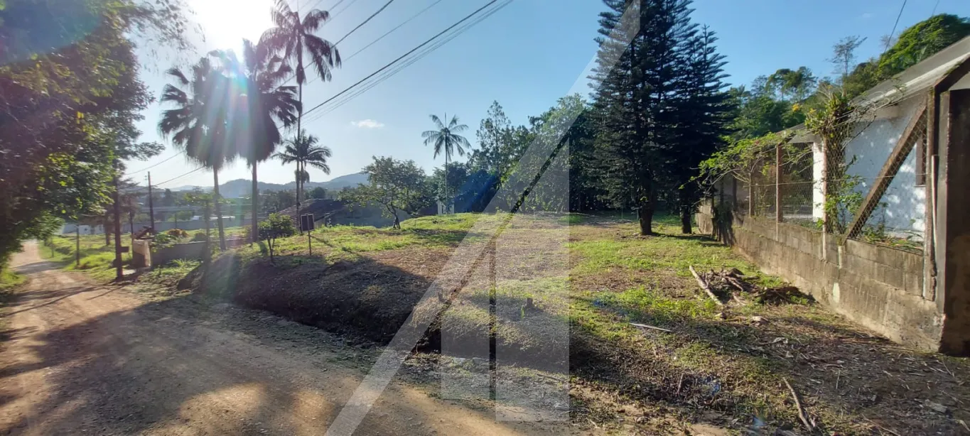 Excelente terreno para quem busca instalar sua empresa próximo a BR. — foto 3