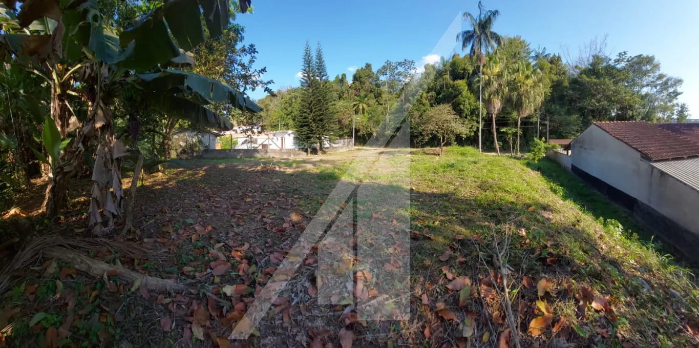 Excelente terreno para quem busca instalar sua empresa próximo a BR. — foto 4