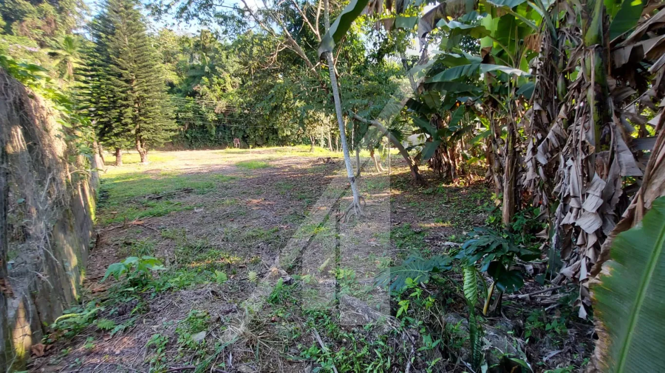 Excelente terreno para quem busca instalar sua empresa próximo a BR. — foto 5