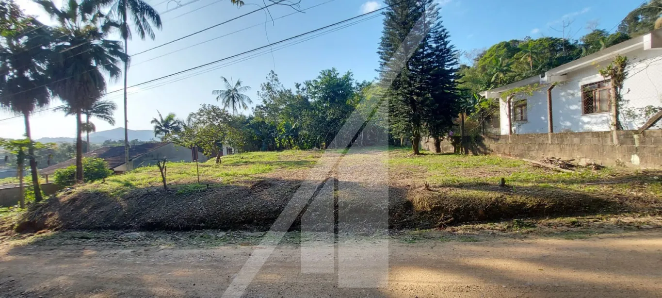 Excelente terreno para quem busca instalar sua empresa próximo a BR. — foto 6