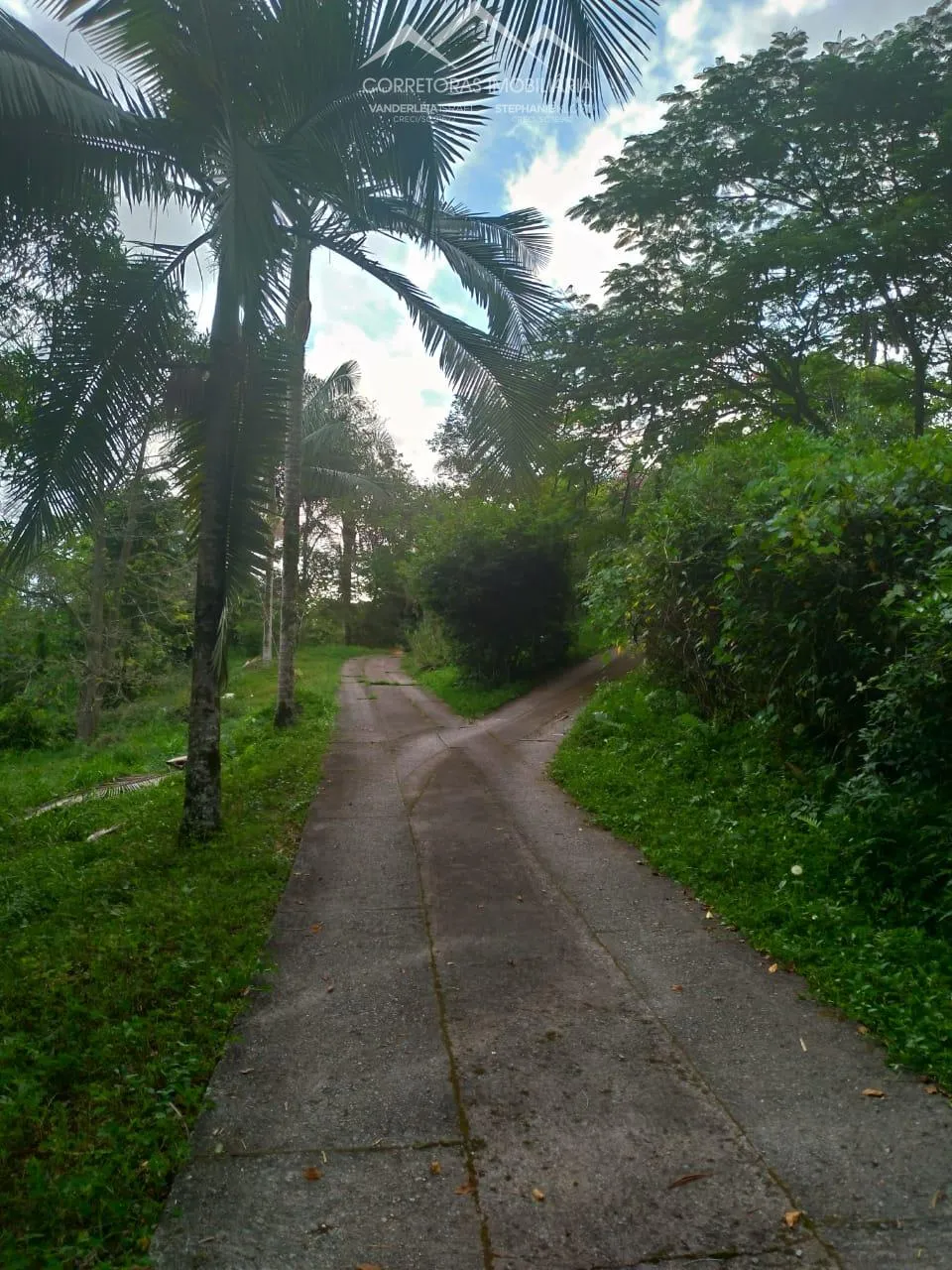 CASA - Ribeirão Areia, Pomerode - SC — foto 3