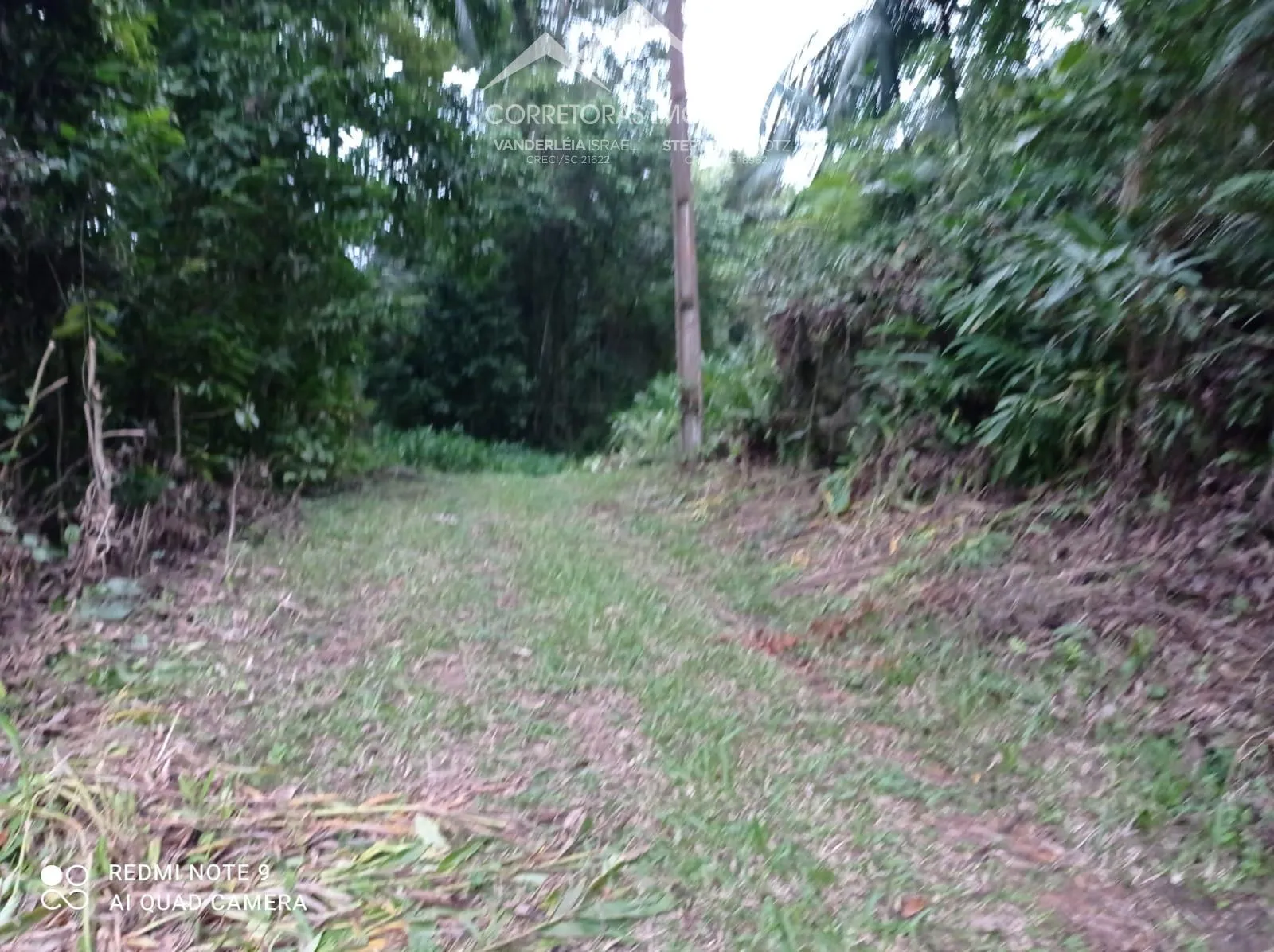 TERRENO - Ribeirão Souto, Pomerode - SC — foto 3
