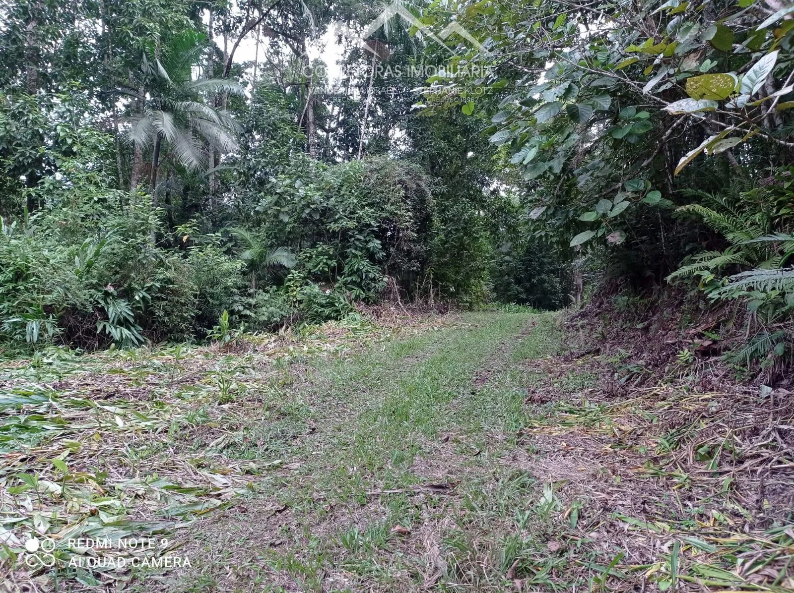TERRENO - Ribeirão Souto, Pomerode - SC — foto 4