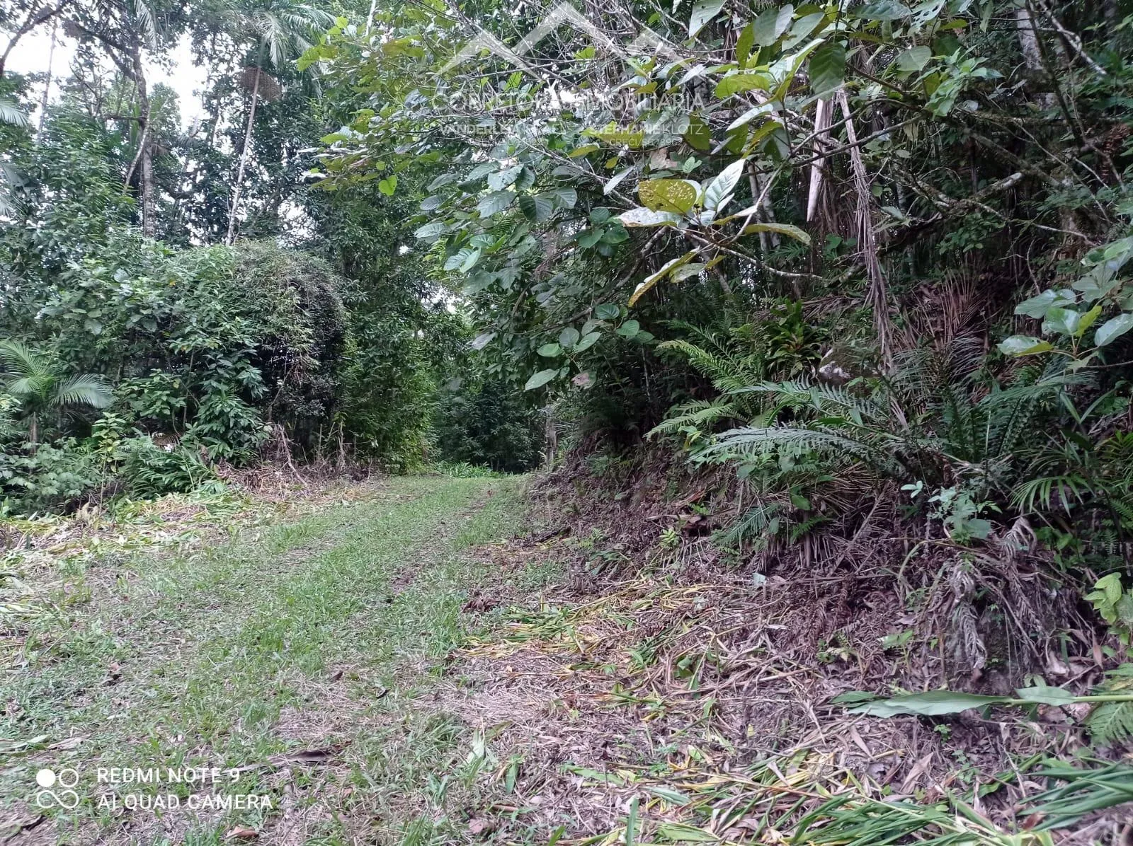 TERRENO - Ribeirão Souto, Pomerode - SC — foto 5