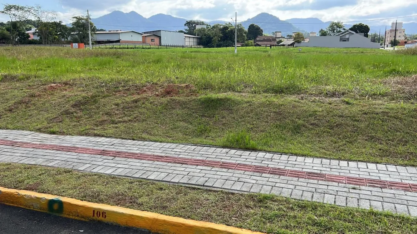 Excelente terreno, plano e pronto para construir — foto 2