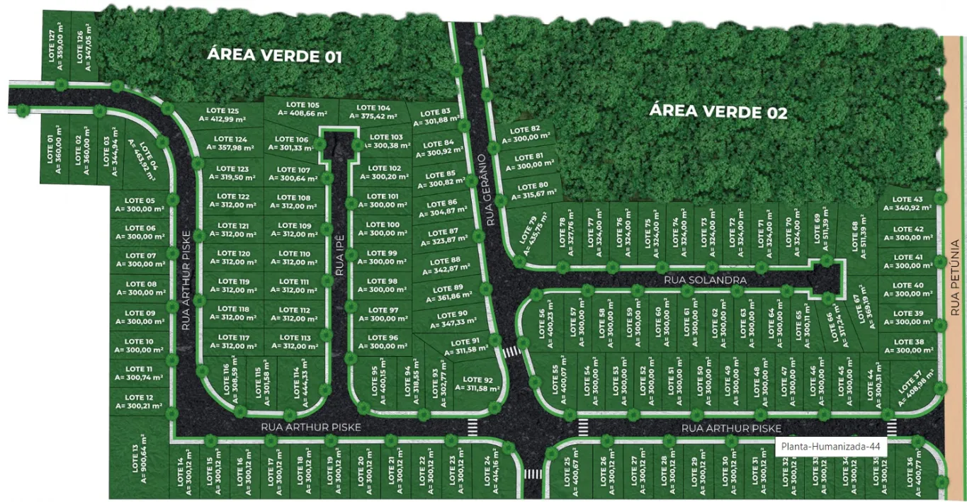 Excelente terreno, plano e pronto para construir — foto 5