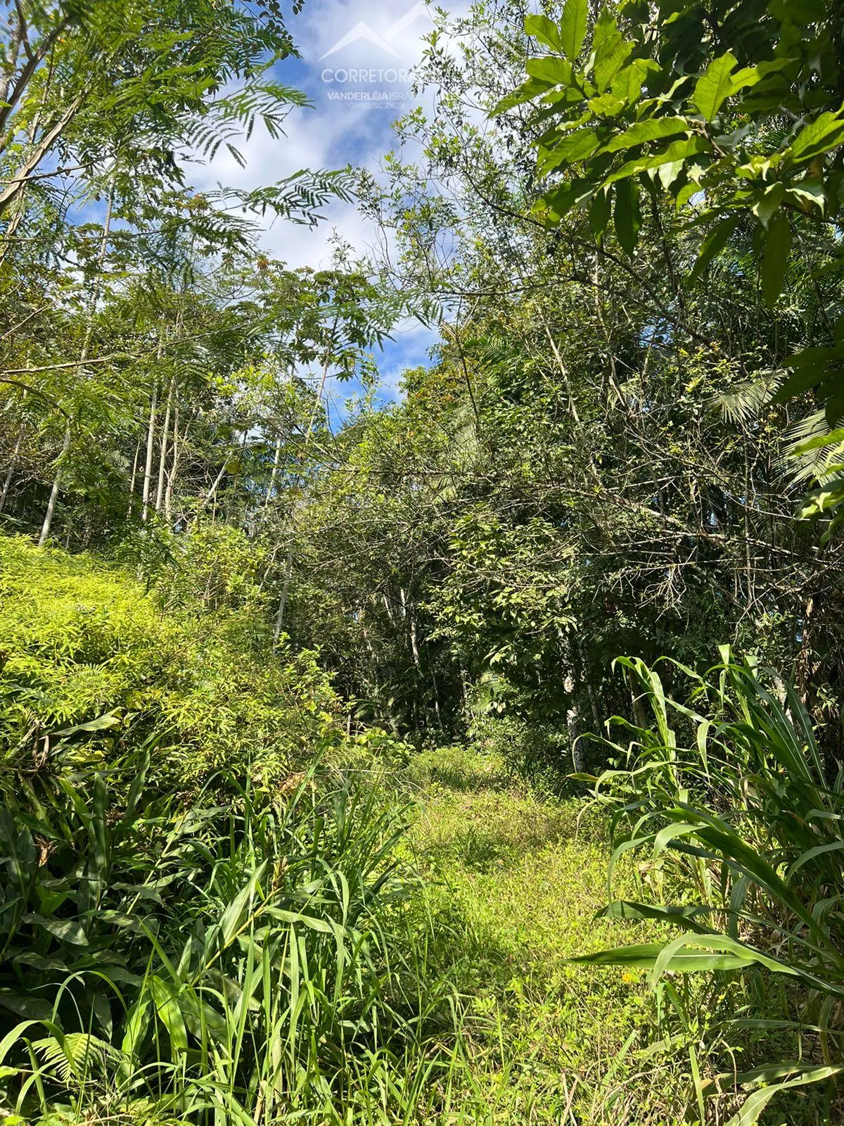 TERRENO - Ribeirão Areia, Pomerode - SC — foto 3