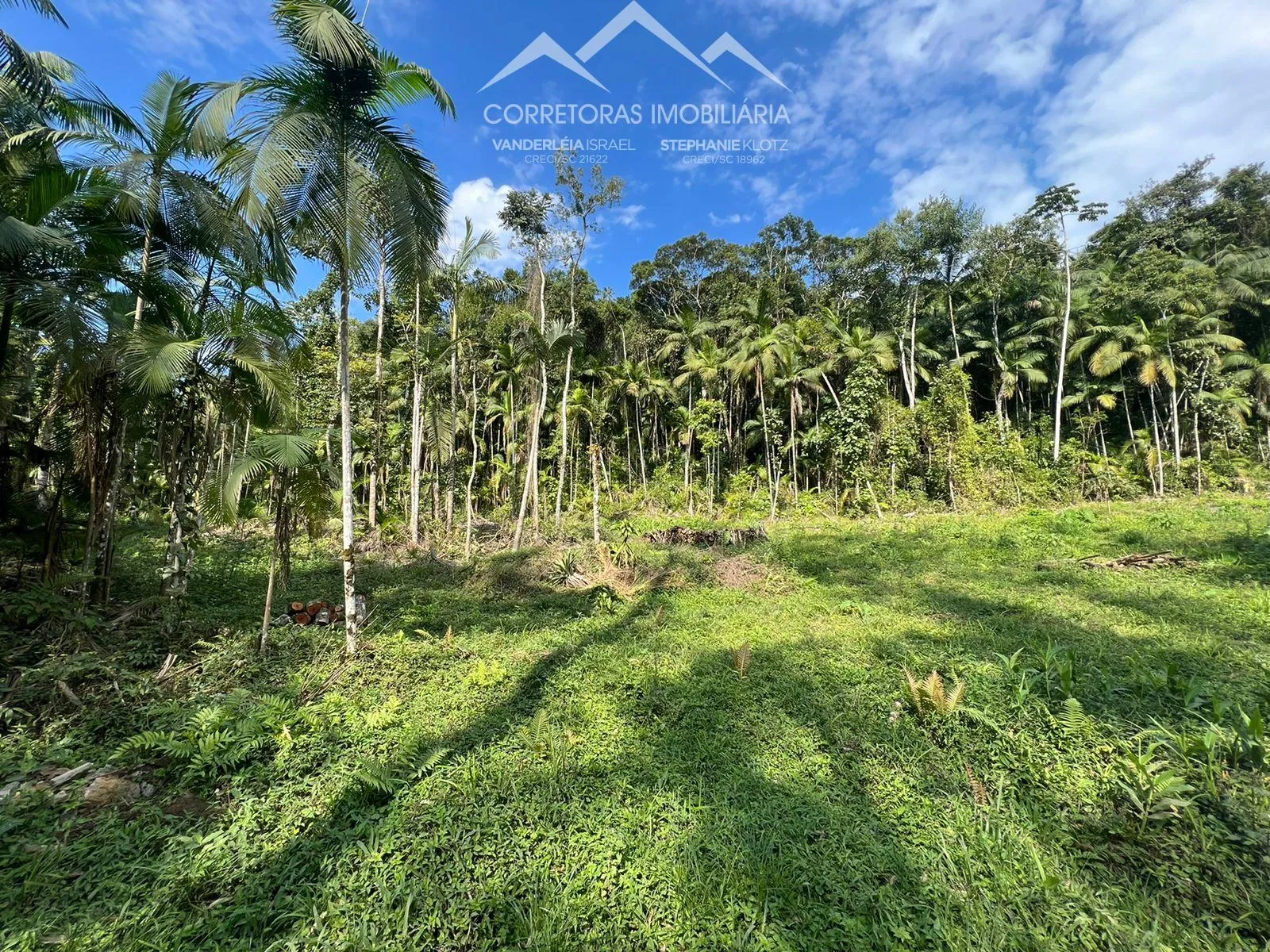 TERRENO - Testo Central, Pomerode - SC - foto 1