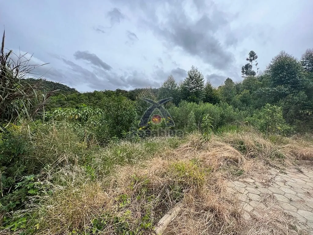 TERRENO-PRESIDENTE GETULIO — foto 2