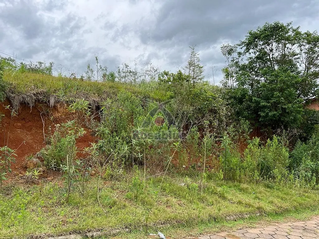 TERRENO-PRESIDENTE GETULIO - foto 1