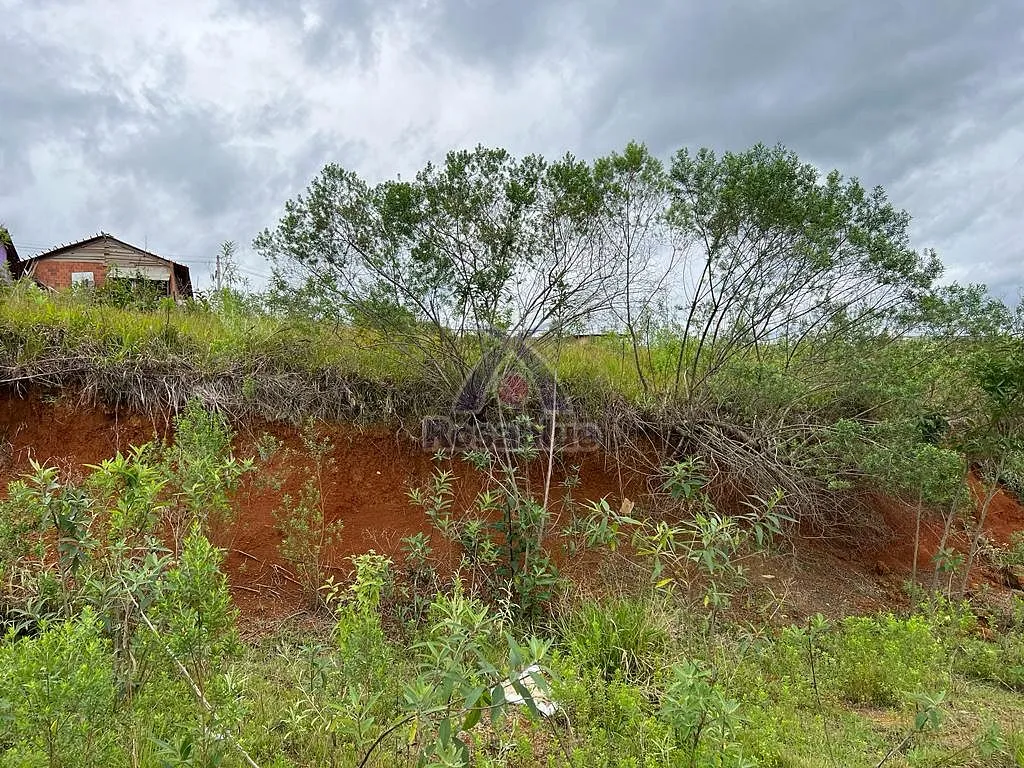 TERRENO-PRESIDENTE GETULIO - foto 1