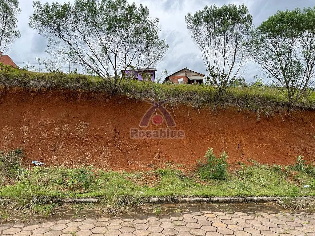 TERRENO-PRESIDENTE GETULIO — foto 3