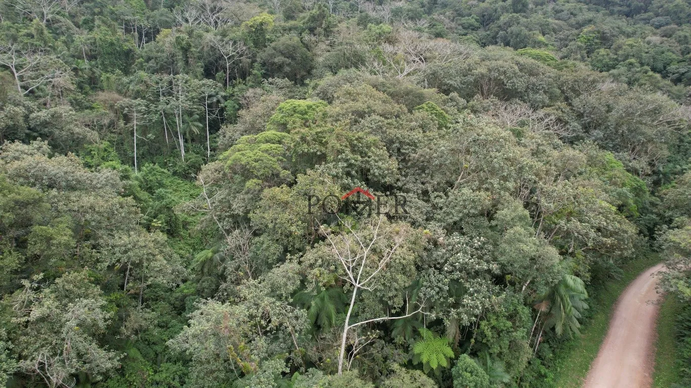 Belíssimo terreno Rural coberto de mata nativa com 28.104,50m, no bairro de Testo Alto. — foto 3