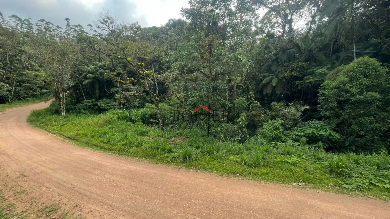 Belíssimo terreno Rural coberto de mata nativa com 28.104,50m, no bairro de Testo Alto. — foto 4