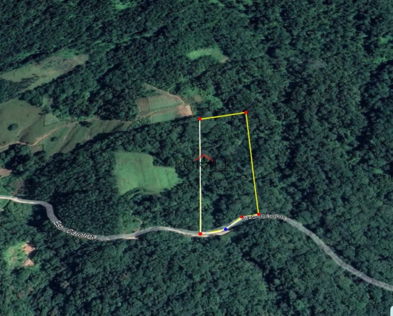 Belíssimo terreno Rural coberto de mata nativa com 28.104,50m, no bairro de Testo Alto. - foto 1