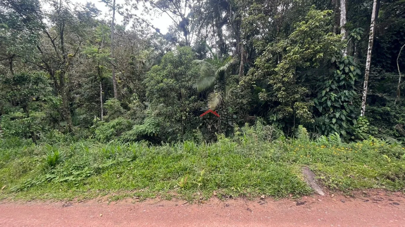 Belíssimo terreno Rural coberto de mata nativa com 28.104,50m, no bairro de Testo Alto. — foto 7