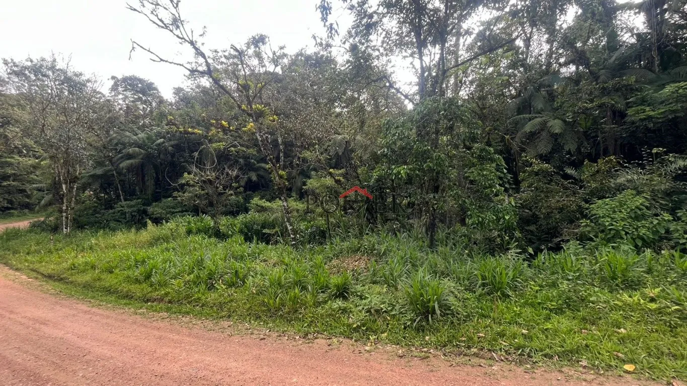 Belíssimo terreno Rural coberto de mata nativa com 28.104,50m, no bairro de Testo Alto. — foto 2
