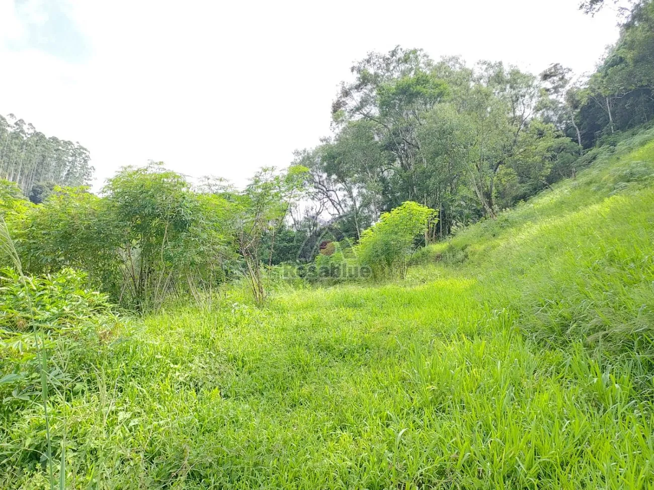 SITIO - TAIO - foto 1