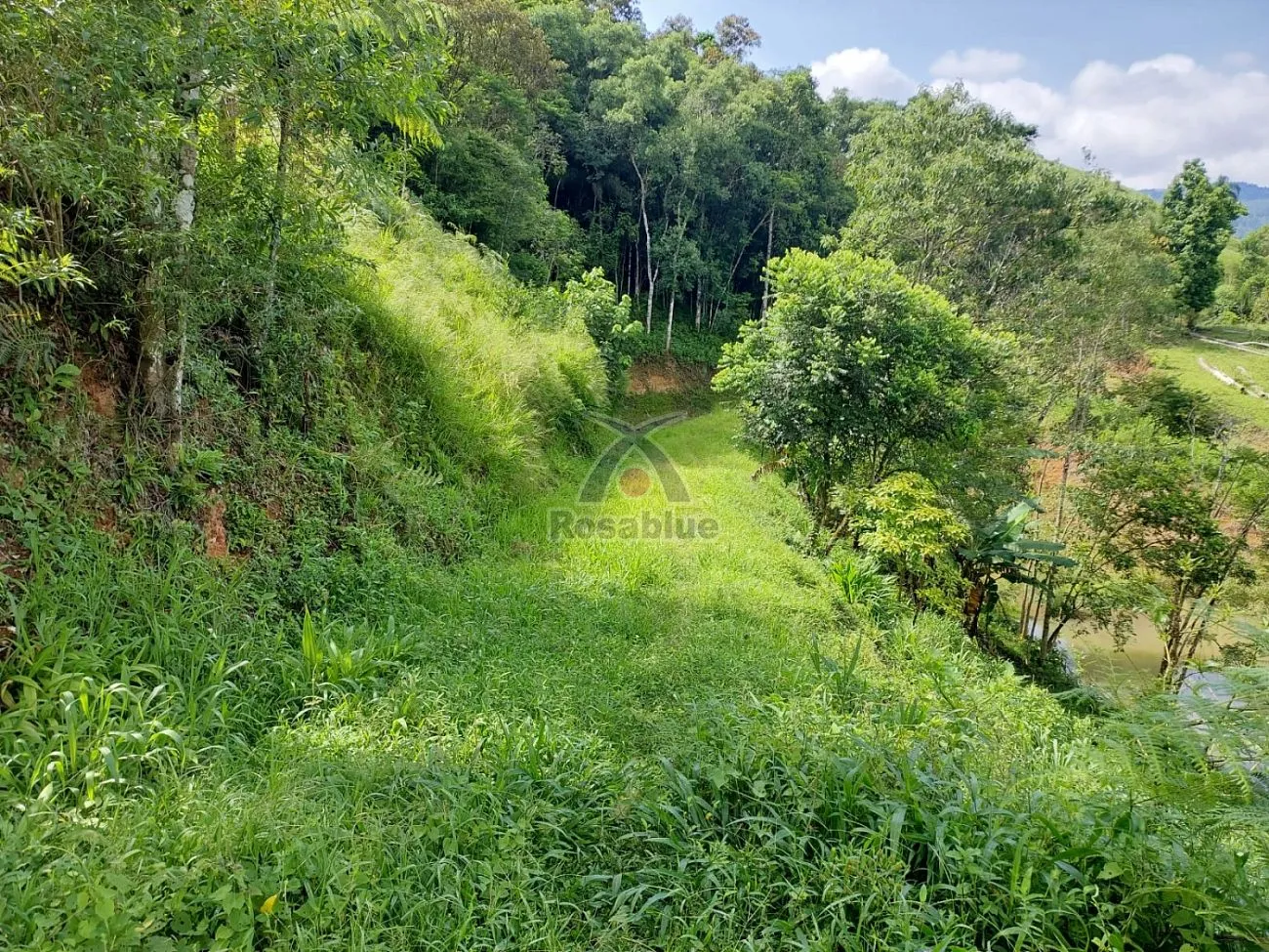 SITIO - TAIO — foto 2