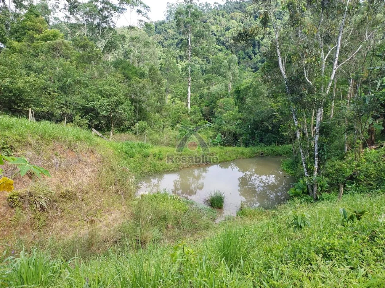 SITIO - TAIO — foto 4