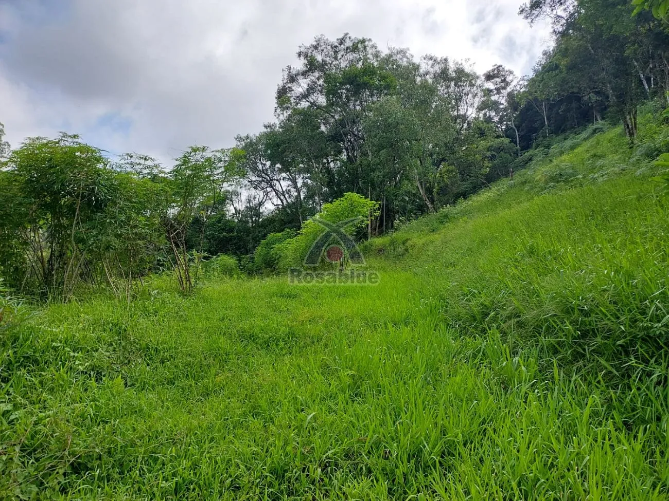 SITIO - TAIO — foto 5