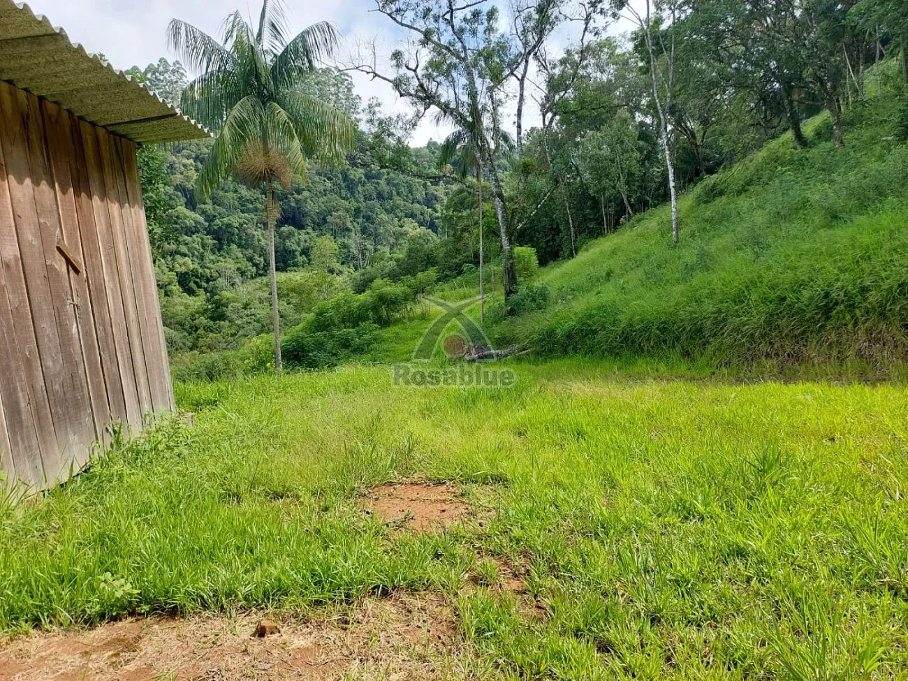 SITIO - TAIO — foto 6