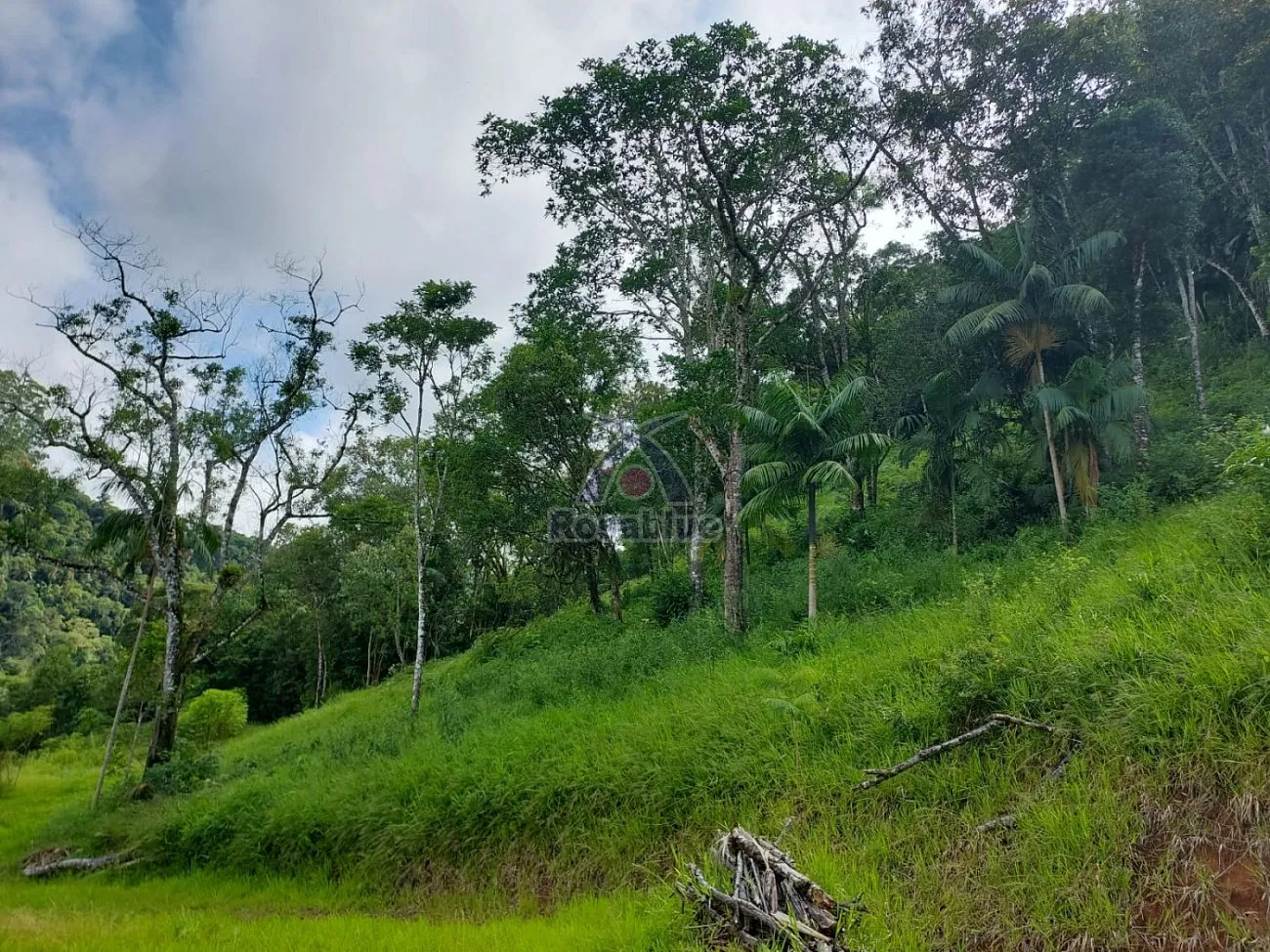 SITIO - TAIO — foto 7