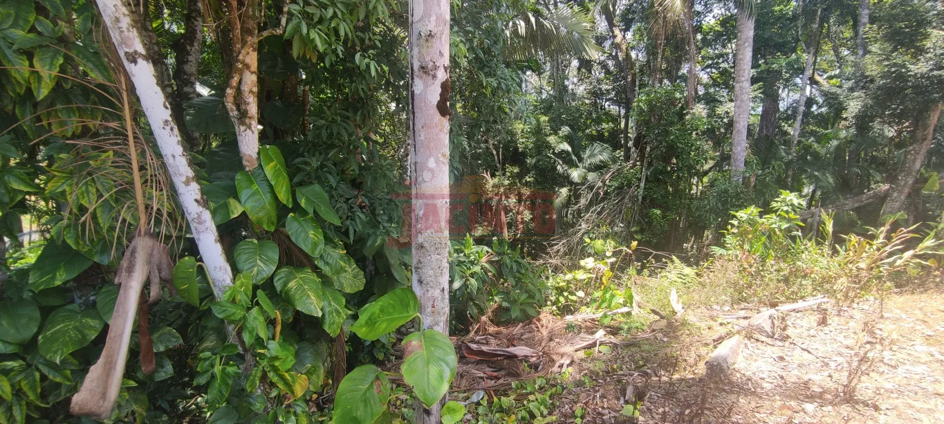 Terreno com 9.243,75 m, com 2 casas, no Bechior Central. — foto 6