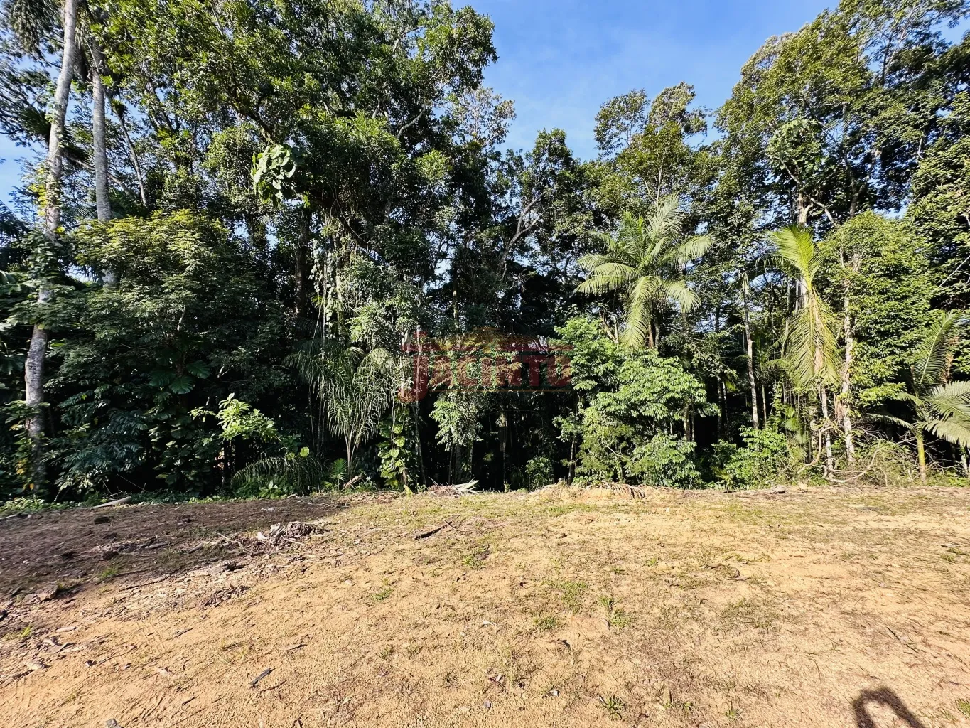 Terreno com 9.243,75 m, com 2 casas, no Bechior Central. — foto 7