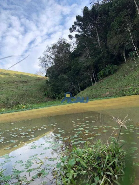 Lindo Sítio em Petrolândia | SC — foto 3