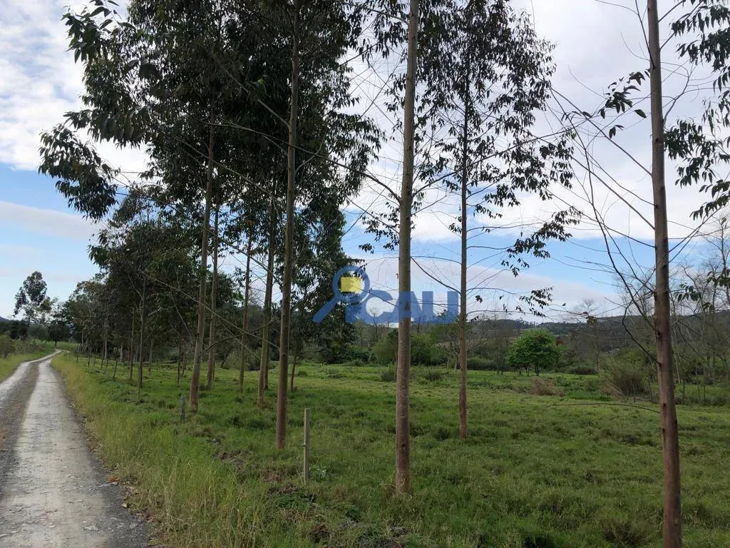 Lindo Sítio em Petrolândia | SC — foto 7
