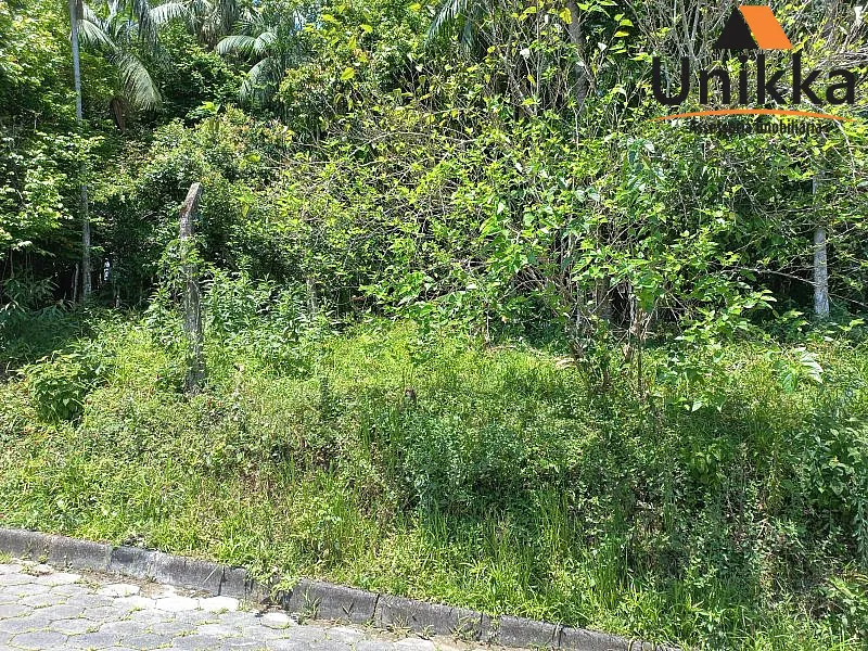Terreno - Venda em Blumenau - foto 1