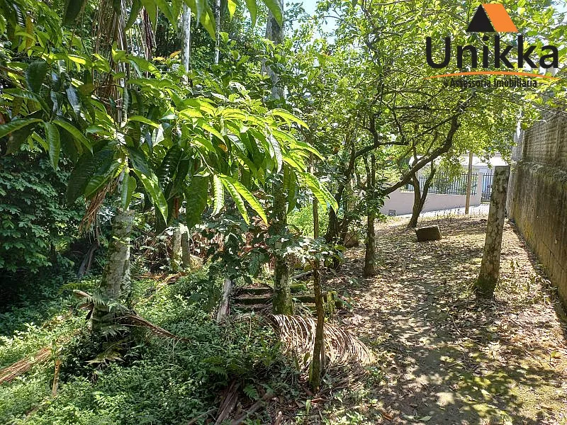 Terreno - Venda em Blumenau — foto 5