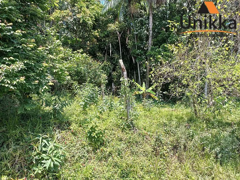 Terreno - Venda em Blumenau — foto 6