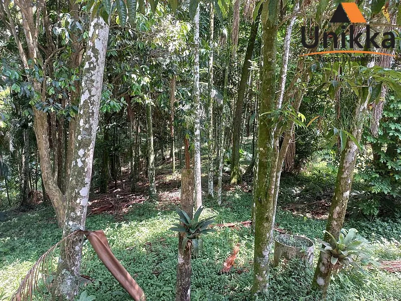 Terreno - Venda em Blumenau — foto 7