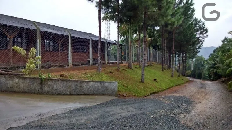 Galpão Industrial para Venda em Pomerode — foto 4
