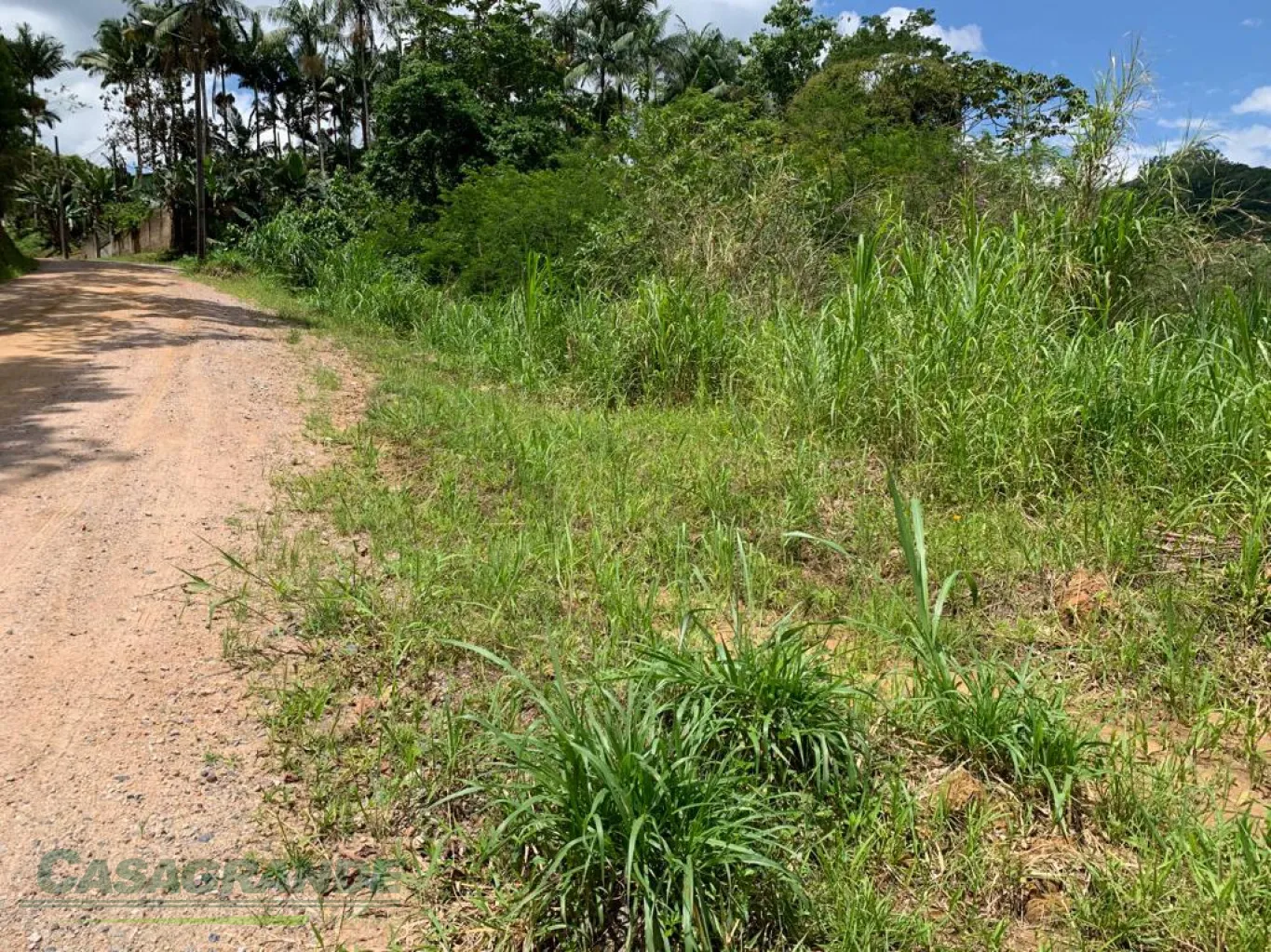 Terreno no bairro Belchior Alto em Gaspar de frente para corredor de serviço, fácil acesso para a BR470. — foto 6
