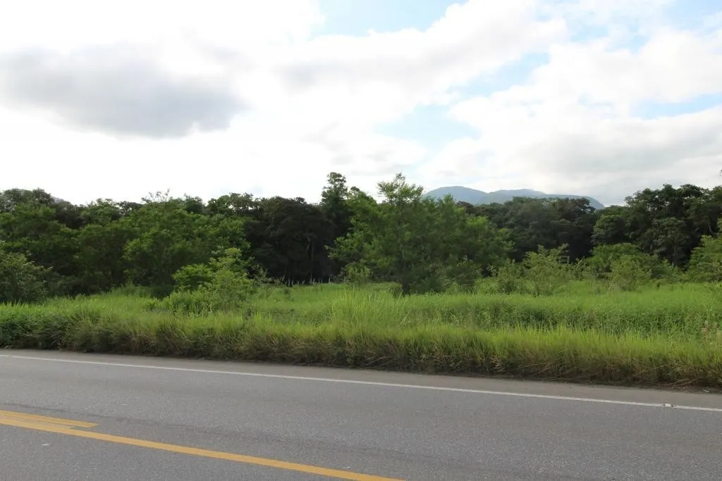 TERRENO no ZONA INDUSTRIAL NORTE com 0 quartos para VENDA, 20000 m - foto 1