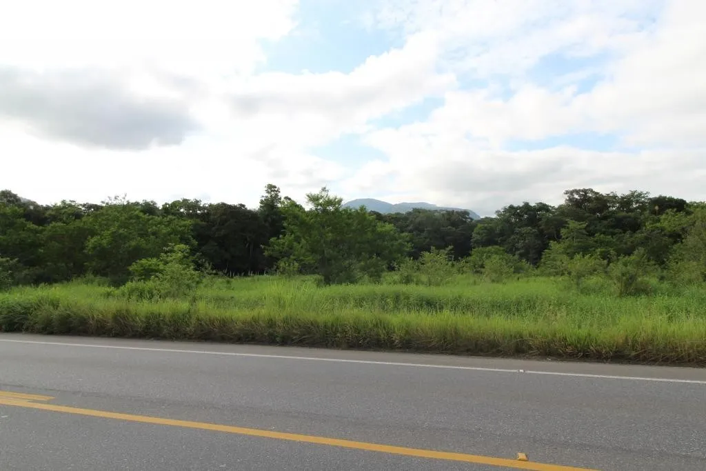 TERRENO no ZONA INDUSTRIAL NORTE com 0 quartos para VENDA, 20000 m — foto 2
