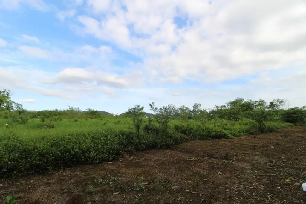 TERRENO no ZONA INDUSTRIAL NORTE com 0 quartos para VENDA, 20000 m — foto 6