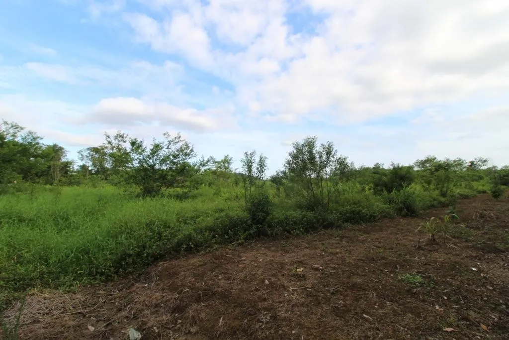 TERRENO no ZONA INDUSTRIAL NORTE com 0 quartos para VENDA, 20000 m — foto 7