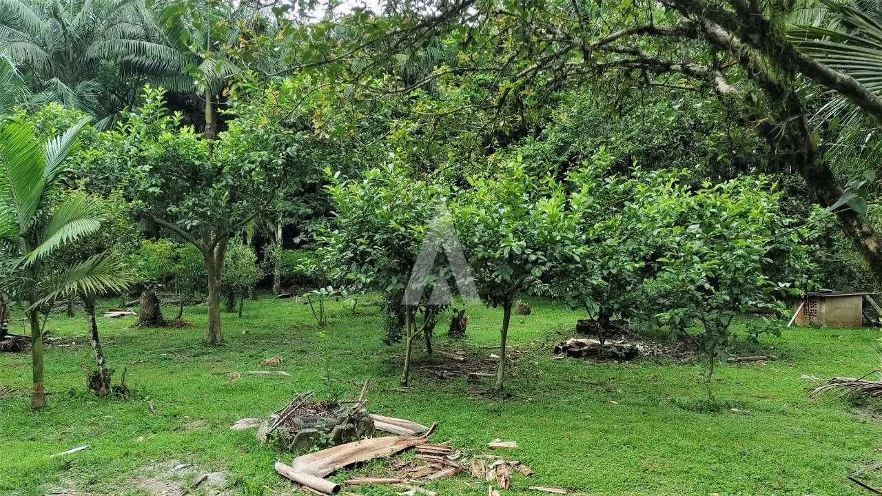 Imóvel Rural à venda, 3 vagas, 29048m² na região do bairro Vila Nova, próximo à Estrada Blumenau, Joinville — foto 4