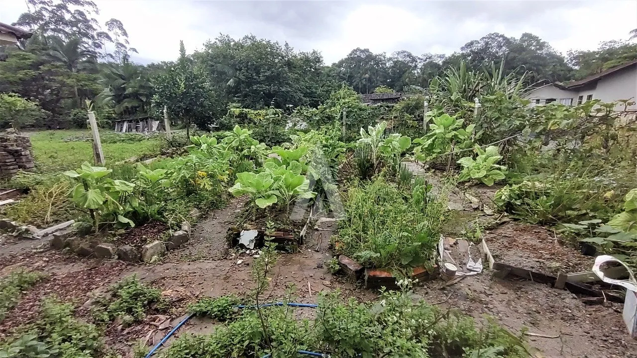 Imóvel Rural à venda, 3 vagas, 29048m² na região do bairro Vila Nova, próximo à Estrada Blumenau, Joinville — foto 6