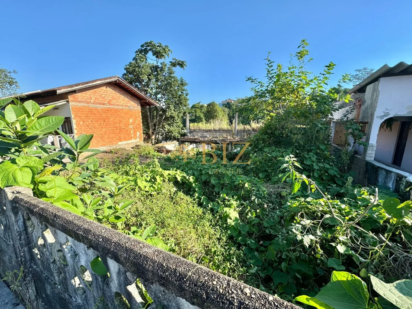 Terreno com 338m em localização excelente, no começo do Bairro Água Verde! — foto 3