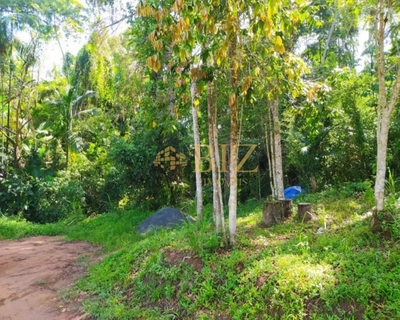 Terreno com aproximadamente 25.000m nas proximidades da Rua João Pessoa! — foto 3