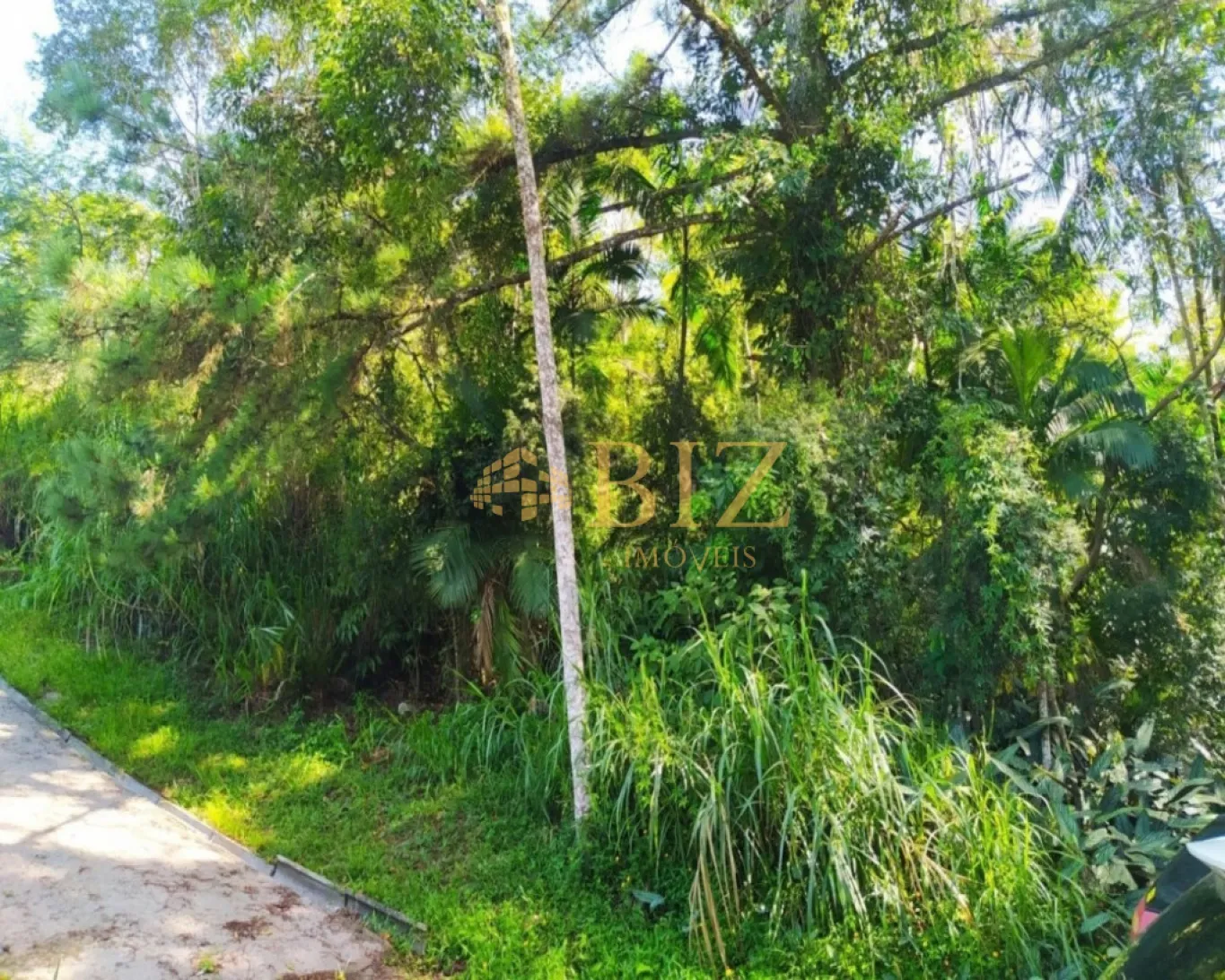 Terreno com aproximadamente 25.000m nas proximidades da Rua João Pessoa! — foto 5