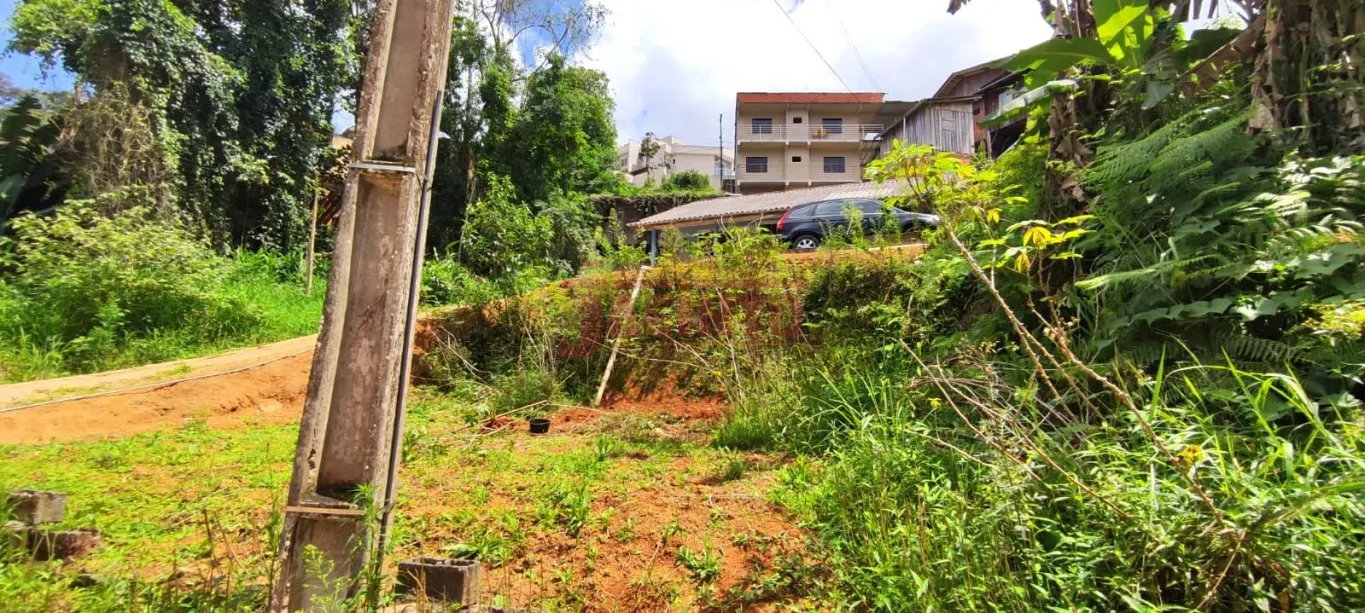 Casa no bairro Fortaleza, com 2 dormitórios , sala, cozinha, 1 banheiro, terreno com 477,21 m. — foto 3