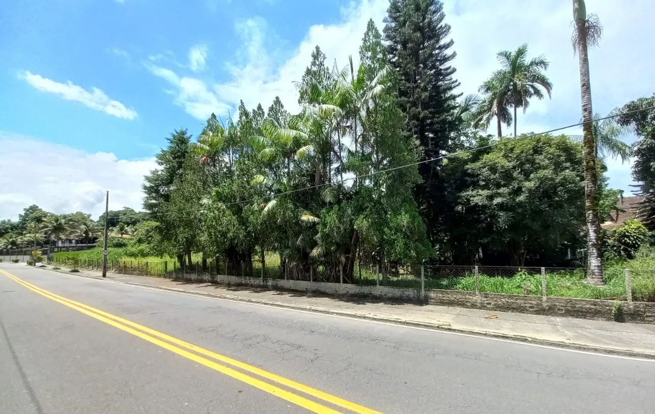Terreno à venda no bairro Centro em Timbó/SC — foto 6