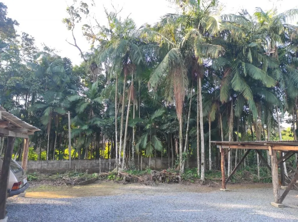 TERRENO no CENTRO com 0 quartos para VENDA, 1869 m — foto 4