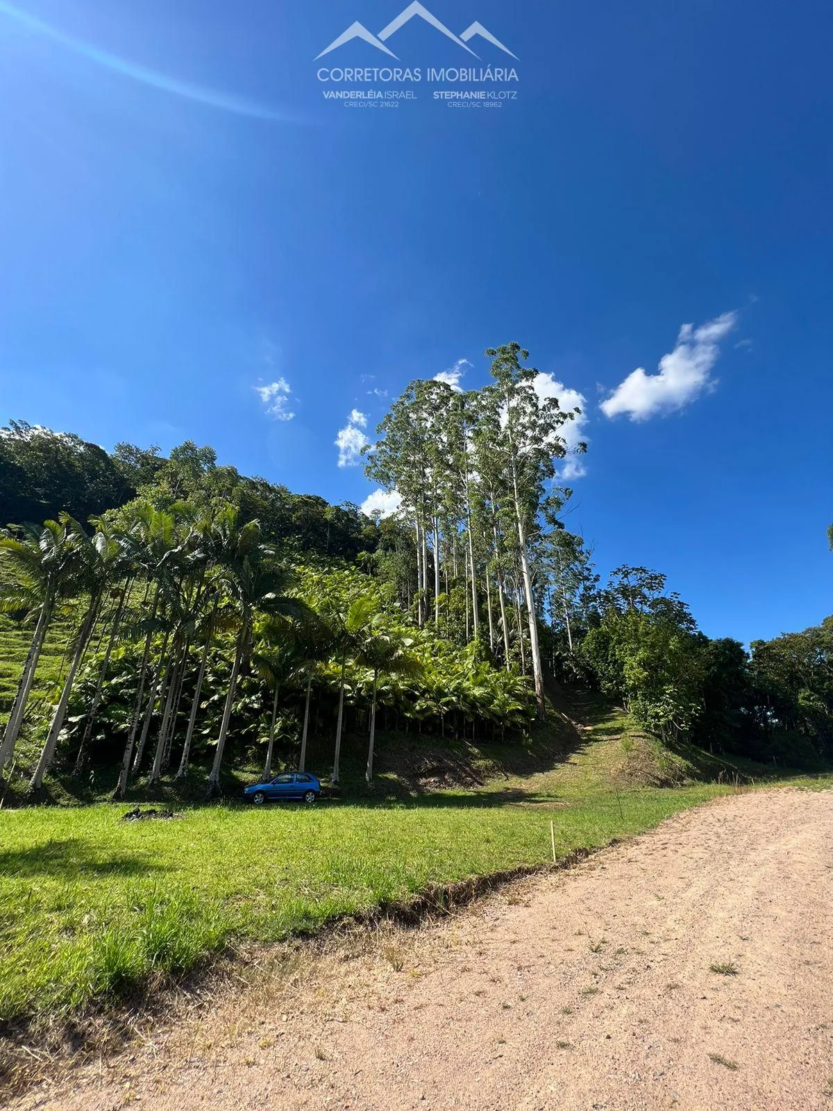 TERRENO - Pomerode Fundos, Pomerode - SC - foto 1